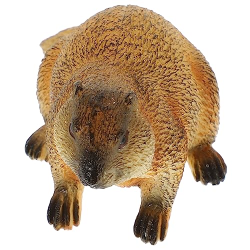 INOOMP Realistische Erdferkel Figur Simulation Groundhog Ornament als Edukatives für Wohnzimmer Kindergarten Tischdekoration Lebensechte Tierfigur INOOMP Realistische Erdferkel Figur Simulation Groundhog Ornament als Edukatives für Wohnzimmer Kindergarten Tischdekoration Lebensechte Tierfigur von INOOMP