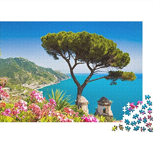 Lake Garda Puzzle 1000 Teile Erwachsenenpuzzle Puzzle Holzpuzzle Geschicklichkeitsspiel Für Die Ganze Familie Intellektuelles 300pcs (40x28cm) von INTCHE