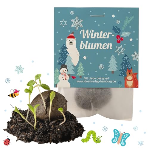 Ideenverlag HAMBURG 10x Winterblumen Winter Samenbomben Kindergeburtstag/Treiben aus bei Kälte! / Wintergeburtstag Geschenke Mitgebsel Kindergeburtstag Kleinigkeit von Ideenverlag HAMBURG