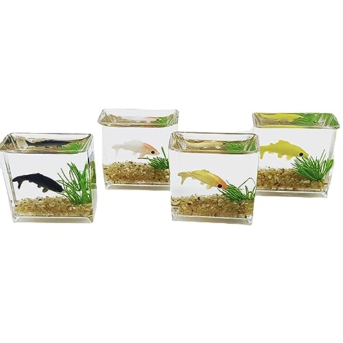 Illkjasfc Quadratische/runde Fische, realistische Glasdekoration für Display, faszinierende Miniatur für Ornamente von Illkjasfc