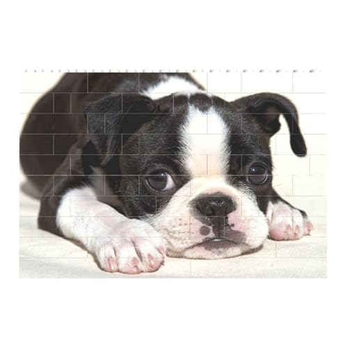 Boston Terrier Hund, Baustein-Block-Puzzles Puzzles Spielzeug Familienspiel von InOmak