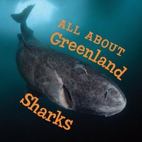 All about Greenland Sharks von Ingram Publishers Services