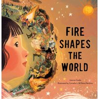 Fire Shapes the World von Ingram Publishers Services