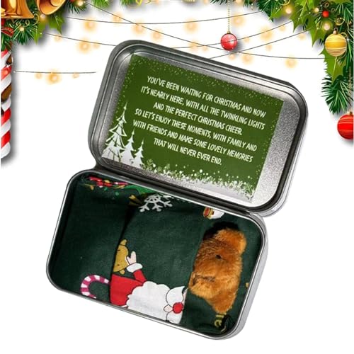 Injuv Pocket Bear Hug,Weihnachts-Minibären | Weihnachts-Kleinbär, Mini-Plüschbär-Puppe, für Weihnachten, Party, Gastgeschenke, Weihnachtsbaum, Strümpfe, Geschenk, Winter-Feiertagsdekoration von Injuv