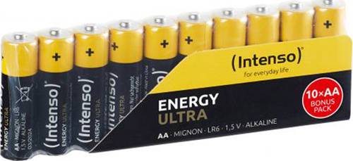 Intenso 10 x AA Mignon Alkaline Batterien von Intenso