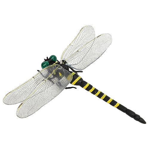 Itonash 12 cm Dragonfly Model Realistische Lebhafte Feine Details Dragonfly Ornament Figur mit Lanyard Pin für Lehren, Spaß und Dekoration von Itonash