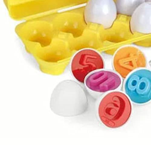 Itonash Farberkennungsübereinstimmung Eiers -Set, Pädagogisches Lernen Formen Sortierspielzeug für Kleinkinder, Plastikkoffer mit Runden Fächern, für Eltern, und Mädchen Spielen von Itonash