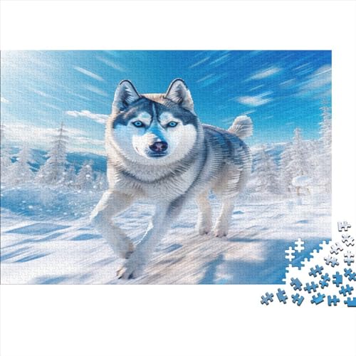 Snow Husky Erwachsene Puzzle 1000 Teile Pet Dog Theme Lernspiel Family Challenging Games Geburtstag Moderne Wohnkultur Stress Relief 1000pcs (75x50cm) von JALYKA