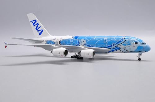 Jc Wings 1/200 PX5001 Airbus A380-800 All Nippon Airways (ANA) Flying Honu - Lani Livery JA381A Scale 1/500 von JC Wings