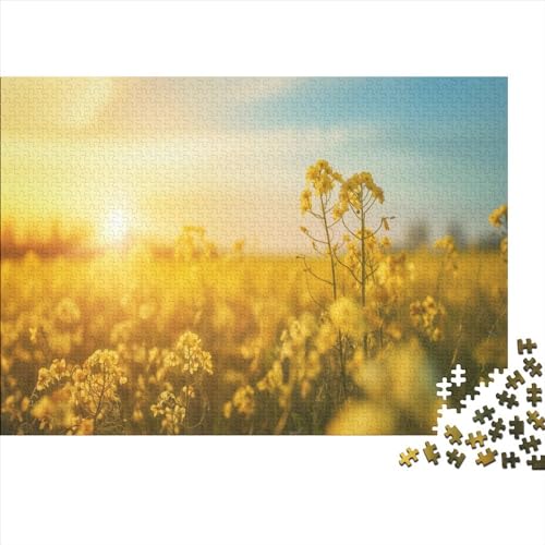 Canola Puzzle 1000 Teile Für Erwachsene Romantic Herausforderung Geeignet Für Erwachsene Farbe Puzzle Geschenk 1000pcs (75x50cm) von JDDEISKKE