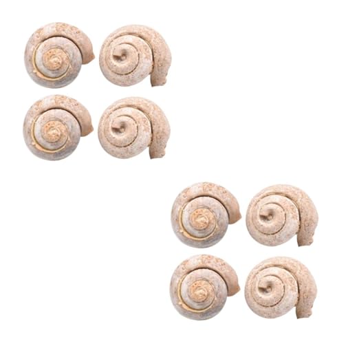 JECOMPRIS 8stücke Teiliges Von Schneckenfossilien Simulation Modelle Für Unterricht Und Dekoration Für Paläontologie-fans Lernspielzeug JECOMPRIS 8stücke Teiliges Von Schneckenfossilien Simulation Modelle Für Unterricht Und Dekoration Für Paläontologie-fans Lernspielzeug von JECOMPRIS