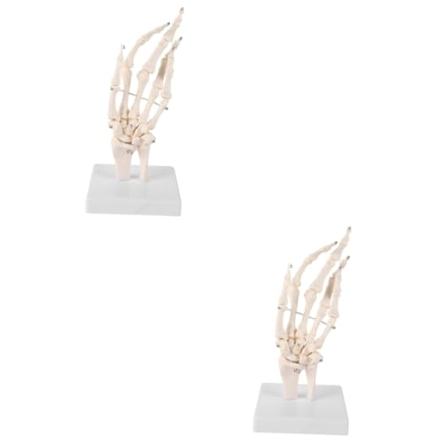 JECOMPRIS 2 Stück Handknochengelenkmodell Medizinisches Anatomisches Modell Handprothese Für Den Unterricht Flexible Skeletthand Menschliches Handgelenkmodell Menschliches von JECOMPRIS