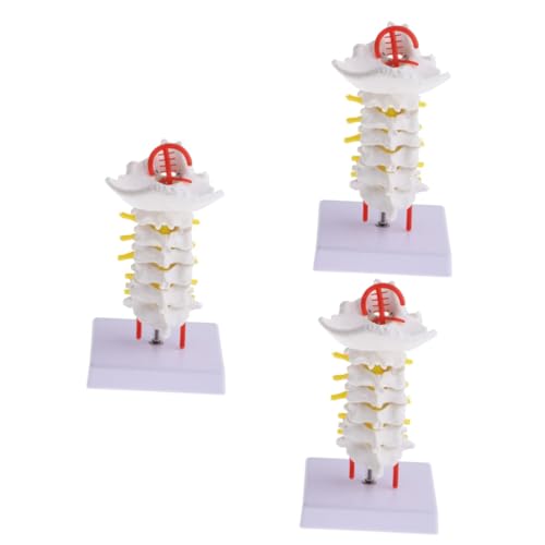 JECOMPRIS 3 Stk Halswirbelsäule mit Halsschlagader Skelettmodell der Wirbelsäule Puppe Unterlage Wirbelsäulenmodell Halswirbelmodell Modell der menschlichen Halswirbelsäule PVC-Rückenmodell von JECOMPRIS