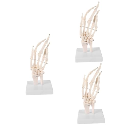 JECOMPRIS 3 Stück Handknochengelenkmodell Handskelett Auf Basis Medizinisches Anatomisches Modell Handprothese Für Den Unterricht Handskelett Mit Gelenkgelenken Handanatomisches Modell Pvc von JECOMPRIS