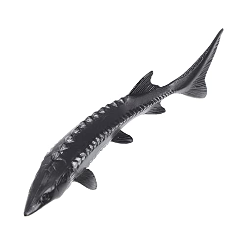 JECOMPRIS Künstlicher Tier Modell Realistisches Chinesischer Störfiguren aus Hochwertigem für Aquarium Dekoration und Lernspielzeug JECOMPRIS Künstlicher Tier Modell Realistisches Chinesischer Störfiguren aus Hochwertigem für Aquarium Dekoration und Lernspielzeug von JECOMPRIS
