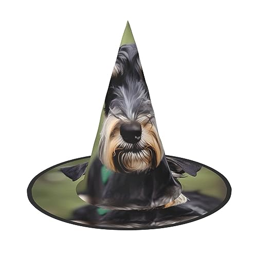 JEJEA Entzückender Schnauzer-Druck, Halloween-Hexenhut, hängende Zaubererhut, schwimmend für Party, Veranda, Hof, Dekoration, 2 Stück von JEJEA