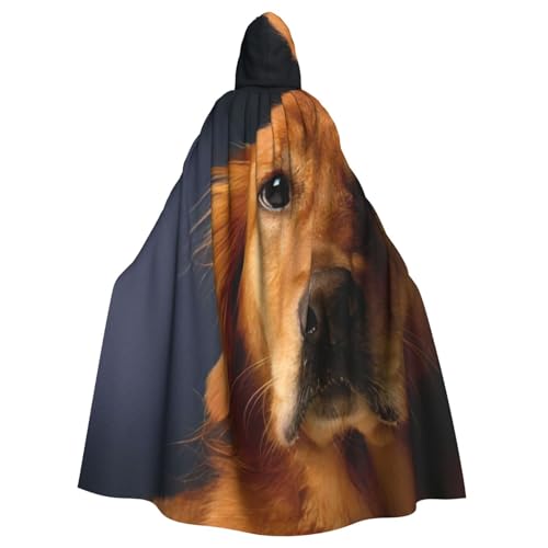 JEJEA Golden Retriever1 Druck Uni Kapuzenumhang Renaissance Kapuzenumhang voller langer Umhang für Halloween Cosplay Kostüme von JEJEA