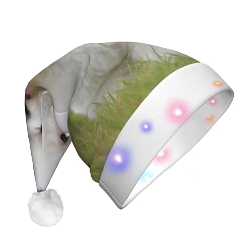 JEKYDOSD Bichon Frisé-Hunde-Druck, LED-Weihnachtsmütze für Erwachsene, Weihnachtsmütze für Erwachsene, Unisex von JEKYDOSD