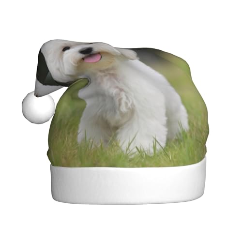 JEKYDOSD Weihnachtsmütze mit Bichon-Frisé-Motiv, für Erwachsene, Weihnachtsmütze, Weihnachtsmannmütze, für Erwachsene, Unisex von JEKYDOSD