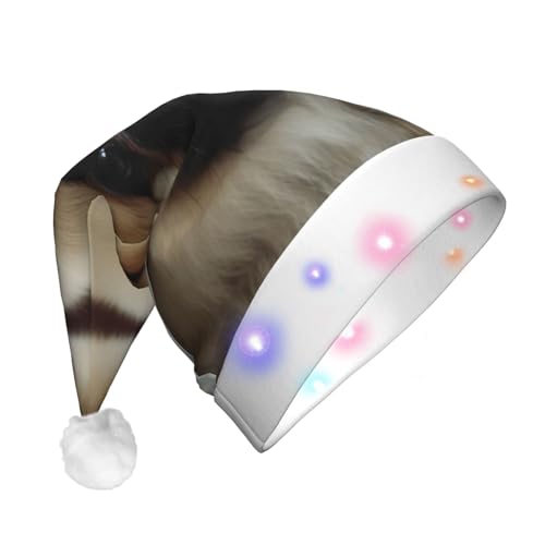 JEKYDOSD Weihnachtsmütze mit niedlichem Pekinese-Druck, LED-Weihnachtsmütze für Erwachsene, Unisex von JEKYDOSD