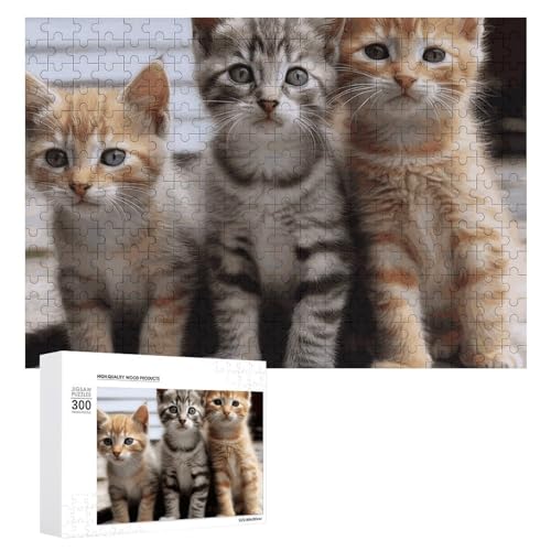 Puzzle 300 Teile Personalisierte Fotos Puzzle mit Aufbewahrungstasche Kätzchen Familie Katzen Png Puzzles Herausfordernde Bilderpuzzle Männer Frauen Wohnkultur Holzpuzzles für Familie von JEKYQ