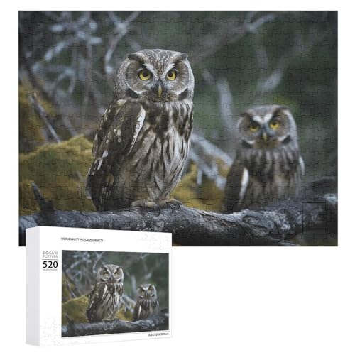 Puzzle 520 Teile Personalisierte Fotos Puzzle mit Aufbewahrungstasche Wilde Eule Vögel Puzzles Herausfordernde Bilderpuzzle Männer Frauen Wohnkultur Holzpuzzles für Familie von JEKYQ