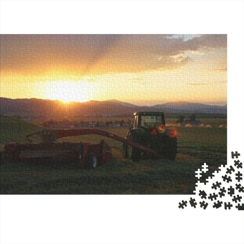 Landwirtschaftliche Werkzeuge, Traktoren, Holzpuzzle, Puzzle für Erwachsene, Teenager, Erwachsene, 300-teiliges Puzzle, Holzpuzzle für Erwachsene, Teenager, 40 x 28 cm von JIANGENNF