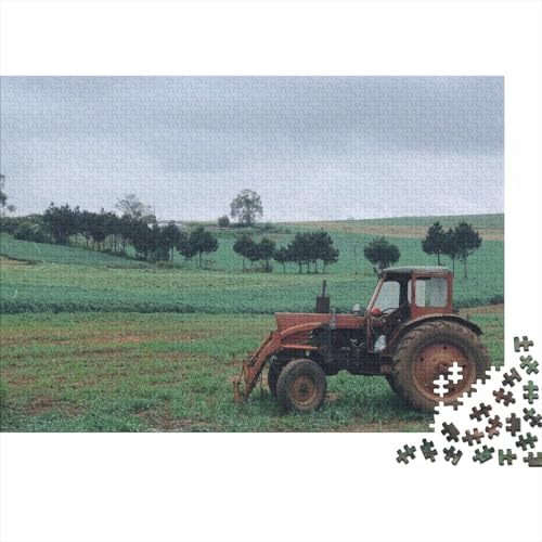 Landwirtschaftliche Werkzeuge, Traktoren, Holzpuzzle, Puzzle für Erwachsene und Jugendliche, 300 große Teile, Puzzle für Erwachsene, nachhaltiges Puzzle für Erwachsene, 40 x 28 cm von JIANGENNF