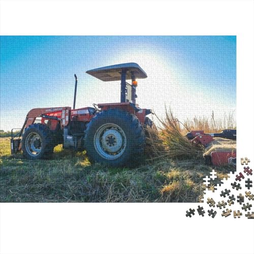 Landwirtschaftliche Werkzeuge, Traktoren, Holzpuzzle, Puzzles für Erwachsene, Teenager, Kunstpuzzles für Erwachsene, 300 Teile, interessantes Puzzle zur Stressreduzierung, 40 x 28 cm von JIANGENNF