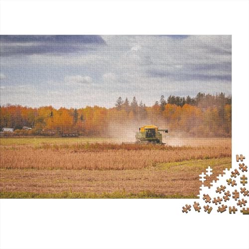 Landwirtschaftliche Werkzeuge, Traktoren, Holzpuzzle für Teenager, 300-teiliges Puzzle für Erwachsene Teenager, präzise geschnittenes 300-teiliges Puzzle, 40 x 28 cm von JIANGENNF