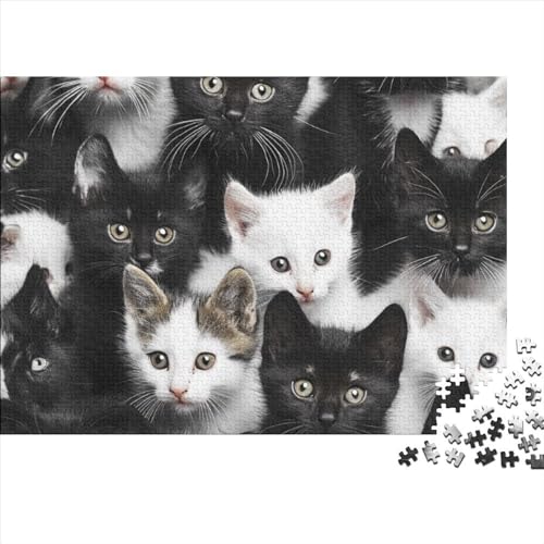 Cat 500 Teile Puzzle Für Erwachsene Herausforderndes Lernspiel Home Dekoration Pets Impossible Puzzle Geburtstagsgeschenk Für Erwachsene 500pcs (52x38cm) von JIANQIANG