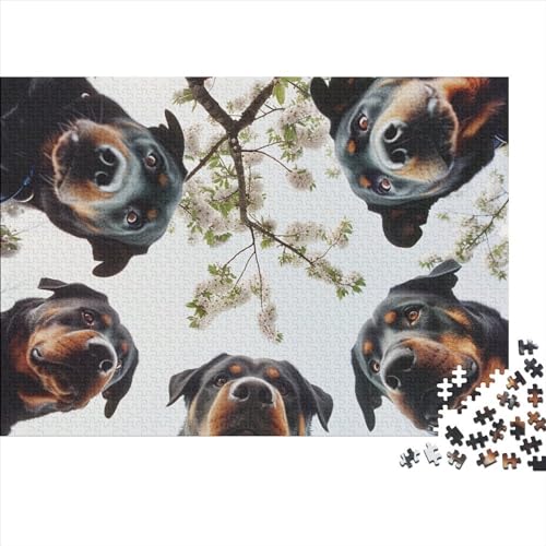 Rottweiler 1000 Teile Puzzle Für Erwachsene Schwierigkeits Lernspiel Home Dekoration Animals with Strong Resistance Ability Impossible Puzzle Geburtstagsgeschenk Für Erwachsene 1000pcs (75x50cm) von JIANQIANG