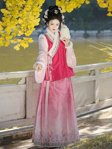 Spring Ropa Tradicional China Hombre Embroidery Ming Square Collar Pipa Sleeve Horse Face Skirt Pink Tang Suit von JIMINISO