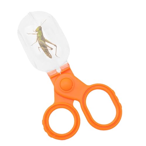 JINGAN Schmetterlingsfänger für Kinder,Spinnenfänger für Kinder | Outdoor-Fänger-Spielzeug | Outdoor Living Creature Explorer Helfer zum Bienenfangen von JINGAN