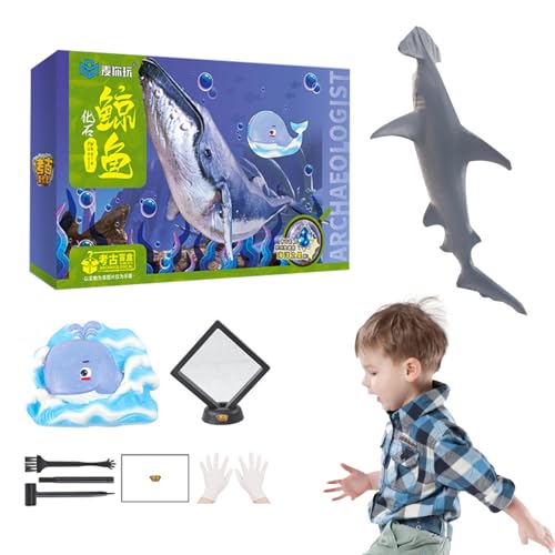 JINGLING Fisch-Wissenschaftsset,Fisch-Entdeckungsset - Creative Life Dig Kit - Fish Life Dig Kit, Archäologie-Ausgrabungsset, Ausgrabungs-Wissenschaftsset, Lern- und Bildungsspielzeug für von JINGLING