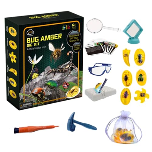 JINGLING Fly Excavation Kit, Fly Toys Dig Kits, Fly Model Amber Dig Kit, Wissenschaftliche Kits, Lernspielzeug mit 6 Fliegenproben, STEM-Lern-Sammlung künstlicher Fliegentiere, Partygeschenke von JINGLING