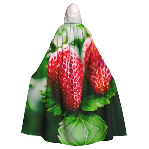 JIUTY Roter Erdbeer-Druck, Maskerade für Erwachsene, wirtschaftlicher Kapuzenumhang, 140 cm lang, perfekt für Halloween-Partys, Tänze JIUTY Roter Erdbeer-Druck, Maskerade für Erwachsene, wirtschaftlicher Kapuzenumhang, 140 cm lang, perfekt für Halloween-Partys, Tänze von JIUTY