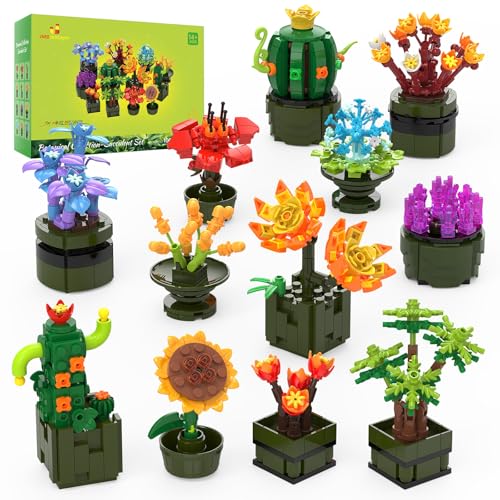 JMBricklayer Blumen Sukkulenten Bausätze für Erwachsene 10001, 12er-Pack winzige Pflanzen, Botanische Sammlung, Display für Raumdekoration, Bonsai Blumen Bausteine, Geschenke für Frauen und Mädchen von JMBricklayer