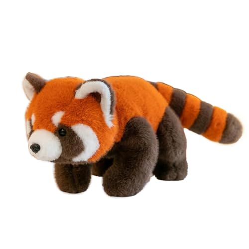 JOAASU Roter Panda Kuscheltier, 30cm Kawaii Panda Plüschtier, Plüsch Roter Panda, Red Panda Plush, Gefülltes Rotes Panda-Plüschkissen, Roter Panda Plüschtier Geschenke für Kinder, Jungen, Mädchen von JOAASU