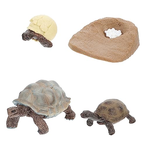 JOINPAYA 4 Stück Schildkrötenverzierung Schildkrötenfiguren Lebenszyklus-Ornamente Wachstumszyklus- -kit Tiere Design Desktop Schmücken Lebenszyklus-Statue Lebenszyklusfiguren PVC von JOINPAYA