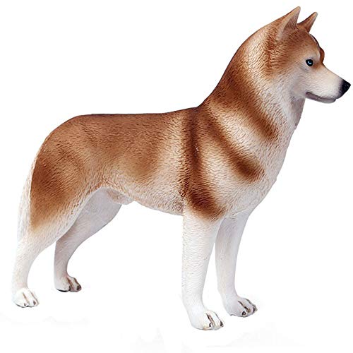 FLORMOON Tierfigur – Realistische orange Husky Hund Figuren – frühes pädagogisches Spielzeug Wissenschaft Projekt Weihnachten Geburtstag für Jungen und Mädchen von JOKFEICE