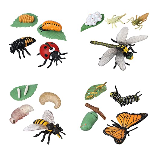 JOKFEICE 16 Stück Insektenspielzeug Lebenszyklus von Schmetterling, Honigbiene, Libelle & Marienkäfer Bug Figuren Spielzeug, frühes pädagogisches Spielzeug Weihnachten für Kinder von JOKFEICE