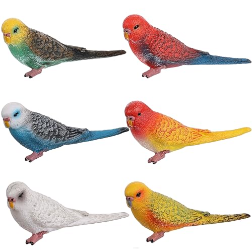 HOMNIVE Vogelfiguren 6-teiliges realistisches Papageienspielzeug, Tierfiguren-Set – simulierte Tiermodelle aus Kunststoff, Spielzeug für Kinder, Lernspielzeug für Jungen und Mädchen von JOKFEICE