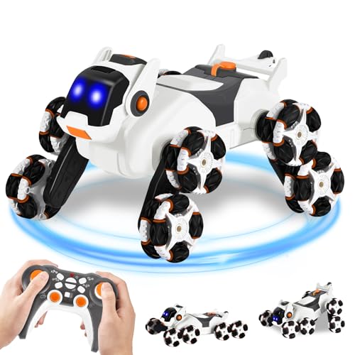 JONRRYIN Roboter Hund Kinderspielzeug, Roboter Hund Kinder Ferngesteuerter Spielzeug, Hund Roboter Spielzeug mit Sprühfunktion, Geburtstagsgeschenke für Kinder von JONRRYIN