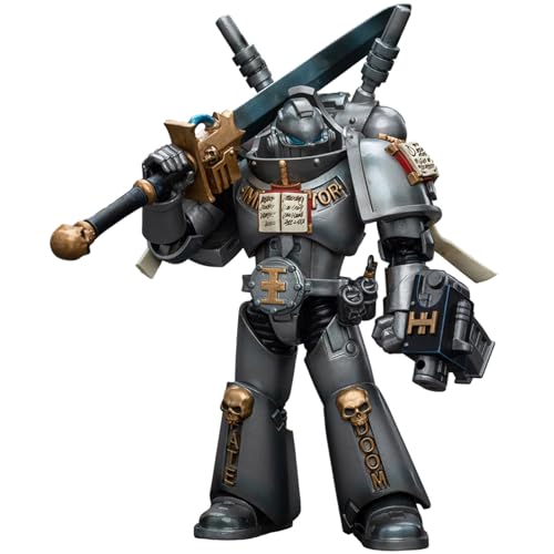 JOYTOY WH 40K 1/18 Action Figur Grey Knights Interceptor Squad Interceptor with Storm Bolter and Nemesis Force Sword Collectible Action Figure,11cm Action Figur (JT8988) von JOYTOY