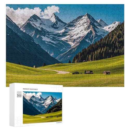 Exquisites bedrucktes Holz-Puzzle, 300 Teile, Puzzle, schöne Illustrationen, lustige Indoor-Aktivität für Erwachsene und Familien, 39,9 x 27,9 cm von JTKLQBN