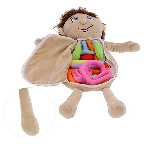 JTLB Anatomie-Lernpuppe, Menschliche Körperorgane, Lernspielzeug, Superweiches Plüsch-Kinderlehrerspiel, Zerlegen Physiologischer Lehrmittel, 46 cm (menschlicher Organjunge) von JTLB