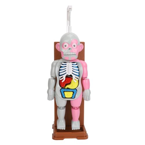 JTLB Anatomie-Spielzeug für den Menschlichen Körper, Pädagogisches, Interaktives, Realistisches, Langlebiges Anatomie-Spielset für Kleinkinder für die Heimschule von JTLB