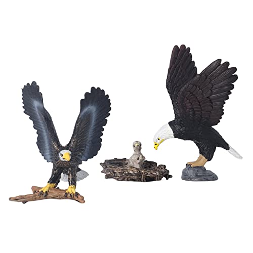 JTLB Realistische Adlerfigur, Niedliches, Lebensechtes Vogelspielzeug für, Lehrreiche Tierfiguren aus Hochwertigem Kunststoff, Zum Sammeln, Als Heimdekoration und Als Partygeschenk von JTLB