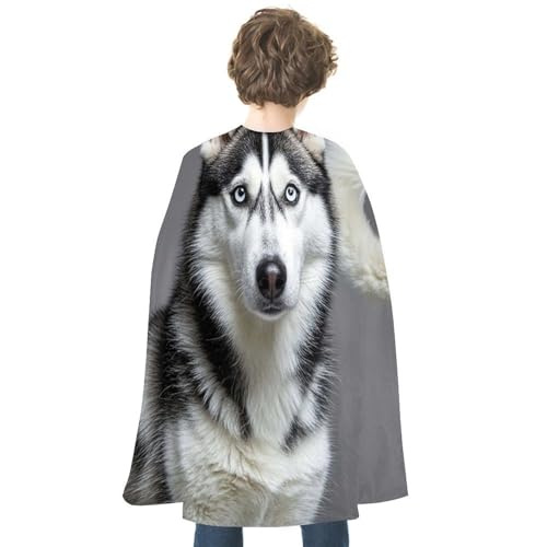 JTREWBV Halloween-Weihnachtsumhang, Husky-Hunde-Druck, Partyumhang, Cosplay-Umhang für Party, Superhelden-Kostüm von JTREWBV